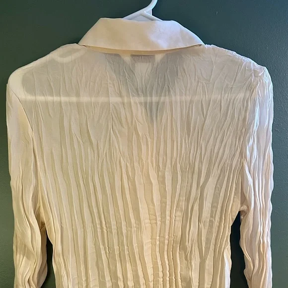Vintage Ruffle Blouse - Picture 7 of 7